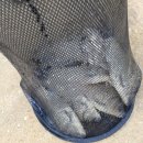 행복 낚시터 이미지