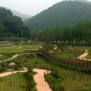 소금랜드 이미지