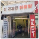 현대지물포 | 광명사거리 옻닭 삼계탕 혼밥 더 건강한 닭곰탕