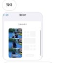 네;일상 이미지