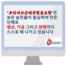 [코리아보은대추협동조합] 대추즙 후기 / 보은 대추, 면역력 강화, 대추즙