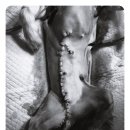 화순동물병원 이미지