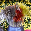 삼성동-41 이미지