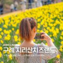전남구례 가볼만한곳 지리산치즈랜드에서 즐기는 수선화 봄 나들이 구례여행