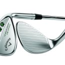 캘러웨이골프 이미지