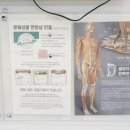 손토비발토비 이미지