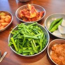내천 | 도가니순대국 부천역순대국 맛집 | 내천순대국 후기