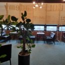 SJ골프 아카데미 이미지