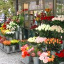 회사가는길 이미지