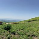 초록바람 이미지