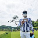 코코줌마 이미지