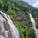 나여사김밥 이미지