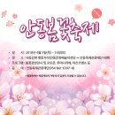 4월6일 안동 벚꽃축제 이미지