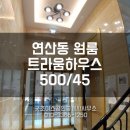 트라움공인중개사사무소 이미지