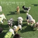 우리집첫째 양산점 이미지