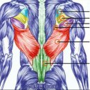더바른몸PT 이미지