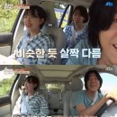 쌍둥이민박 이미지