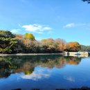 한산도식당 이미지