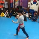 경희대드림태권도 이미지