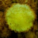 레코어린이집 이미지