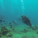 우노(uno) 이미지