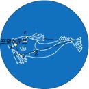 물고기자리 이미지