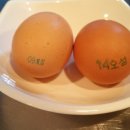 계성농장 이미지