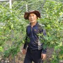 산막골농장 이미지