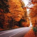 새봄가정의원 이미지