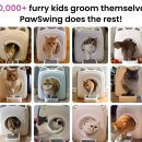 수그루밍 이미지