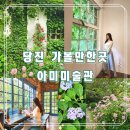 당진 가볼만한곳 아미미술관 수국 실시간 개화 카페 지베르니 커피한잔