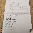 견바라기 | 인천 주안 결혼식 화동, 산책케어 강아지 펫시터 후기 with 비숑 꾸꾸