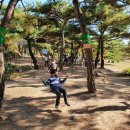 호수교육