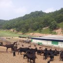 칠량농장 이미지