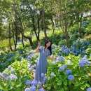울산여인숙 이미지