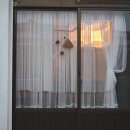 stay 공위 이미지