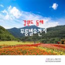 무릉이가