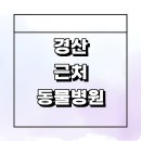 경산시 근처 동물병원 잘하는곳 정보 추천 고양이 치료 수술 중성화 후기 가격 강아지 공휴일