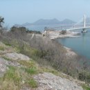 옥도면 장자도리 이미지