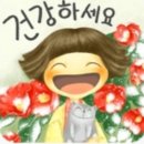 화안 이미지