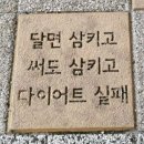 (주)계룡 | 계룡 PT 내돈내산 후기ㅣ계룡 트리플짐 71회차 다이어트 기록