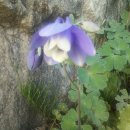 세실농장 이미지