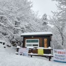 유일사 Daum카페