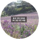 작은쉼터 스텔라 이미지
