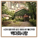 청춘-숲속의 섬,  이미지