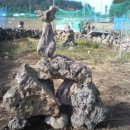 초야농장 이미지