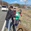 당숲길 이미지