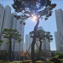 산내마을10단지 운정센트럴푸르지오 이미지