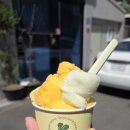 꼬피아
