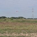 데빌505+타롯450+부품기체(판매완료) 이미지
